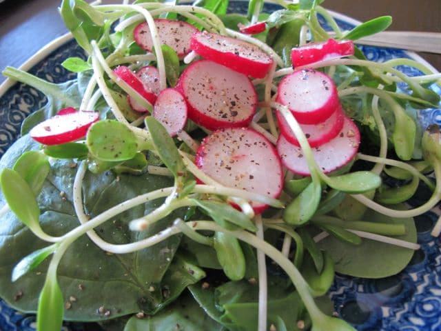 Spinach Side Salad with Radishes and Sunflower Sprouts